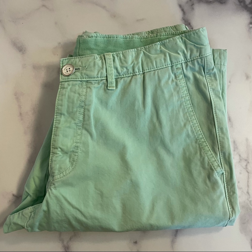 Pantone Universe Green Cotton Shorts Size 31